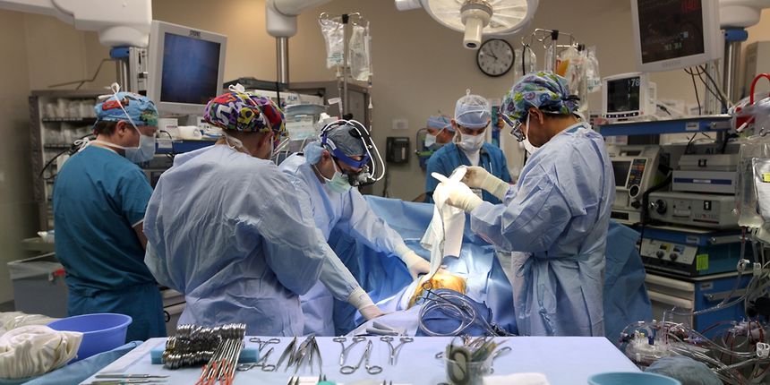 Transplantacija srca, foto:depthtml.musc.edu Transplantacija srca, foto:depthtml.musc.edu
