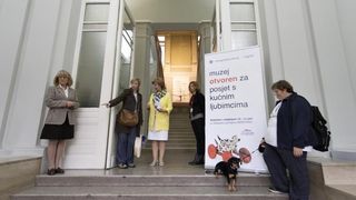 Kulturne šapice Kulturne šapice