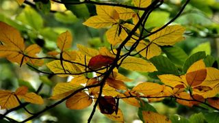 NP Plitvička jezera, listopad 2021.