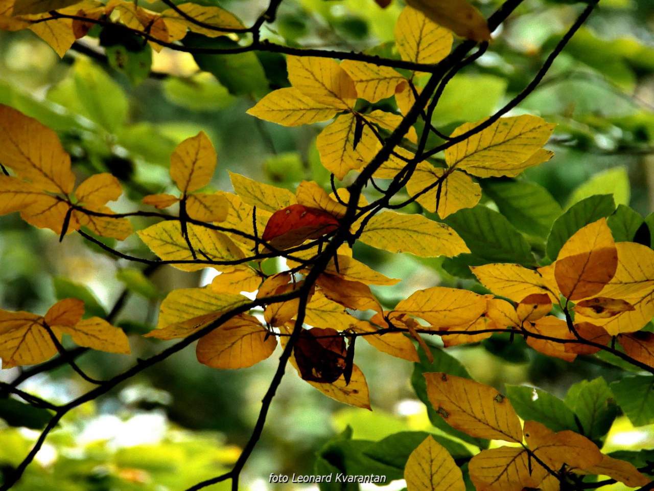 NP Plitvička jezera, listopad 2021.