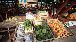 Đir po pijaci, 30. siječnja 2012. (foto:Saša Čuka)