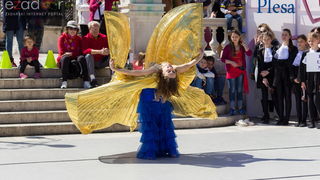 Đir po gradu 29. travnja 2017.