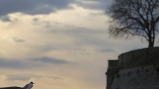 Predvečerje u Zadru 6. ožujka 2014.  Foto: Filip Brala/PIXSELL