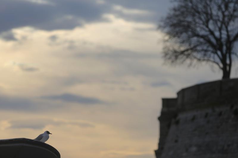 Predvečerje u Zadru 6. ožujka 2014.  Foto: Filip Brala/PIXSELL