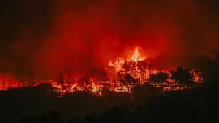 Žrnovnica Žrnovnica