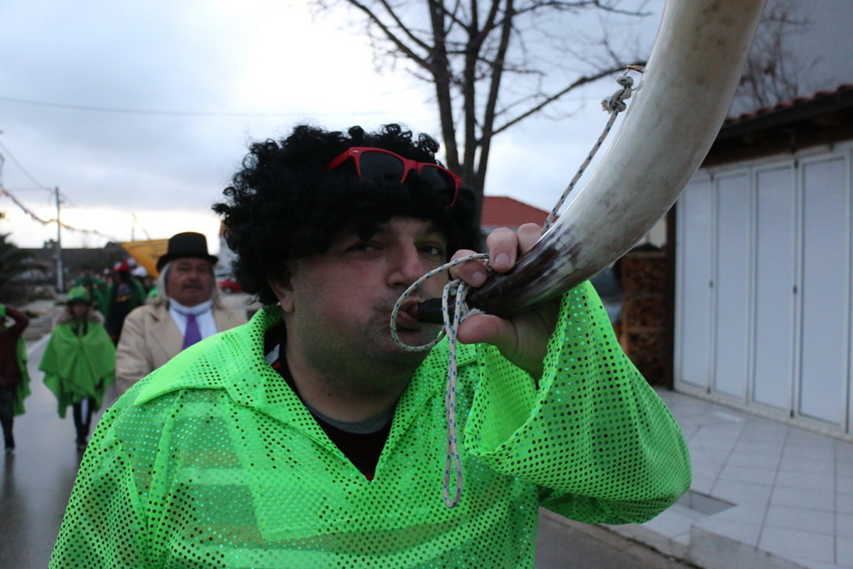 Virske maškare 2018: Defile maškaranih skupina i fešta uz “Koktelse”