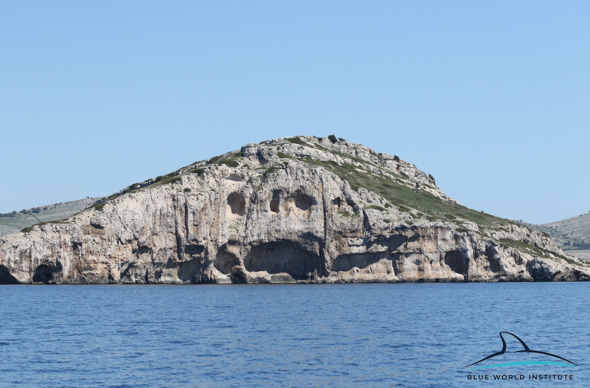 Razigrani dupini na Kornatima i kod Dugog otoka