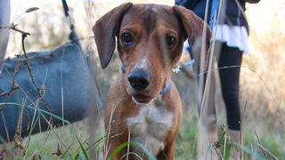 Izlet na Kudin most, foto: Darko Belančić Izlet na Kudin most, foto: Darko Belančić
