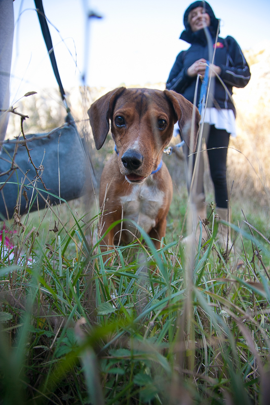 Izlet na Kudin most, foto: Darko Belančić Izlet na Kudin most, foto: Darko Belančić