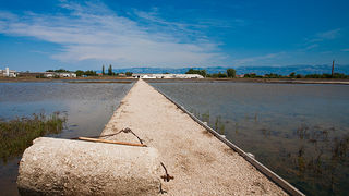 Solana Nin, berba soli, foto: Leo Banić
