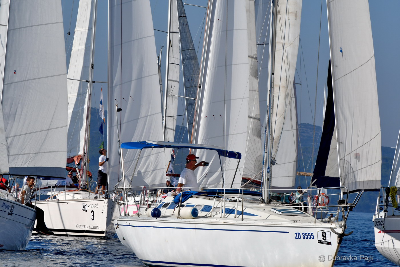 Sva lica “Zadarske koke” Sva lica “Zadarske koke”