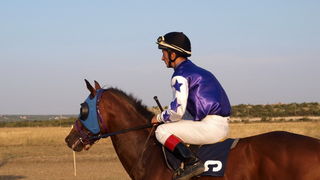 Polaca, utrke konja Oluja 95 Polaca, utrke konja Oluja 95