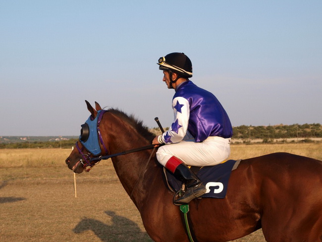 Polaca, utrke konja Oluja 95 Polaca, utrke konja Oluja 95