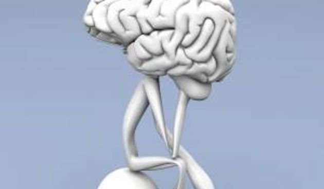 Tjedan mozga, Sveučilište u Zadru, Odjel za psihologiju, izvor: facebook