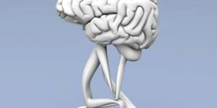 Tjedan mozga, Sveučilište u Zadru, Odjel za psihologiju, izvor: facebook