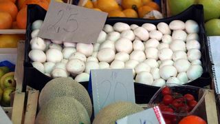 Image 1199887 (auto)