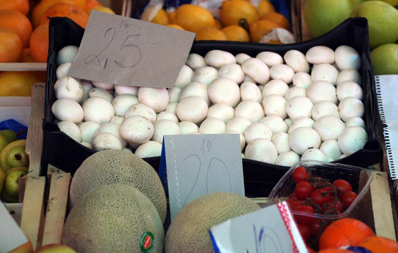 Image 1199887 (auto)