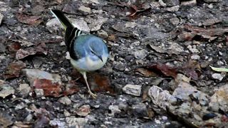 NP Plitvička jezera, listopad 2021.