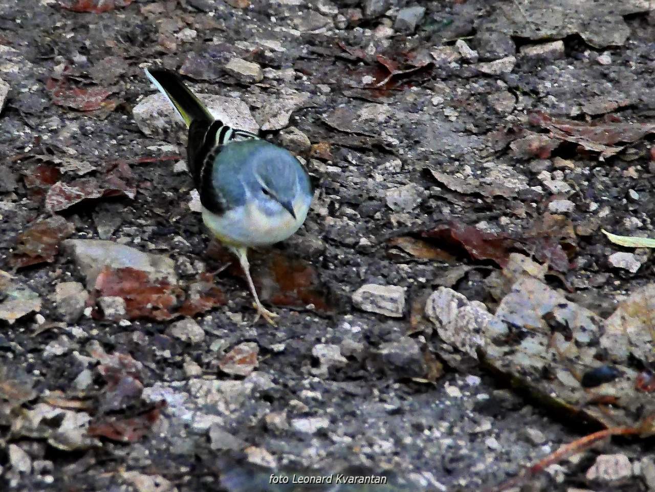 NP Plitvička jezera, listopad 2021.