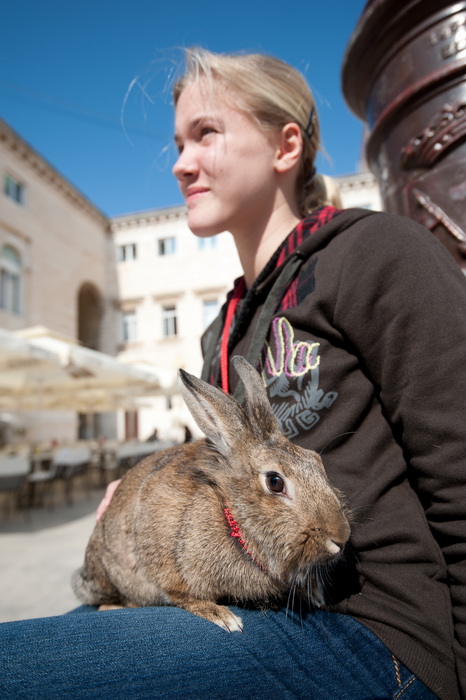Zadar, 020412
Ove tri djevojcice setaju se gradom vodeci na uzicama svoje nesvakidasnje kucne ljubimce – zecice Bubicu,Vini i Pjegicu.
Na fotografiji: djevojcica sa zecicom Bubicom na Narodnom trgu.
Foto: Luka Gerlanc / CROPIX