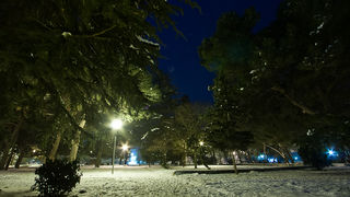 Noćni đir po Višnjiku, Foto: Anđelo Virag