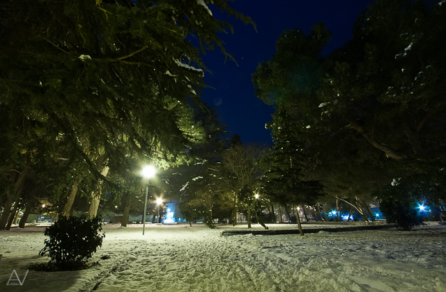 Noćni đir po Višnjiku, Foto: Anđelo Virag