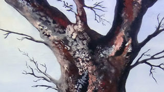 Galerija “Mali medo” Galerija “Mali medo”