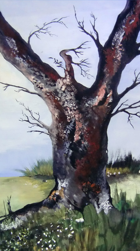 Galerija “Mali medo” Galerija “Mali medo”