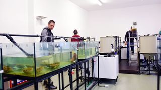 Strani studenti na združenom studiju Biotehnologija mora Strani studenti na združenom studiju Biotehnologija mora