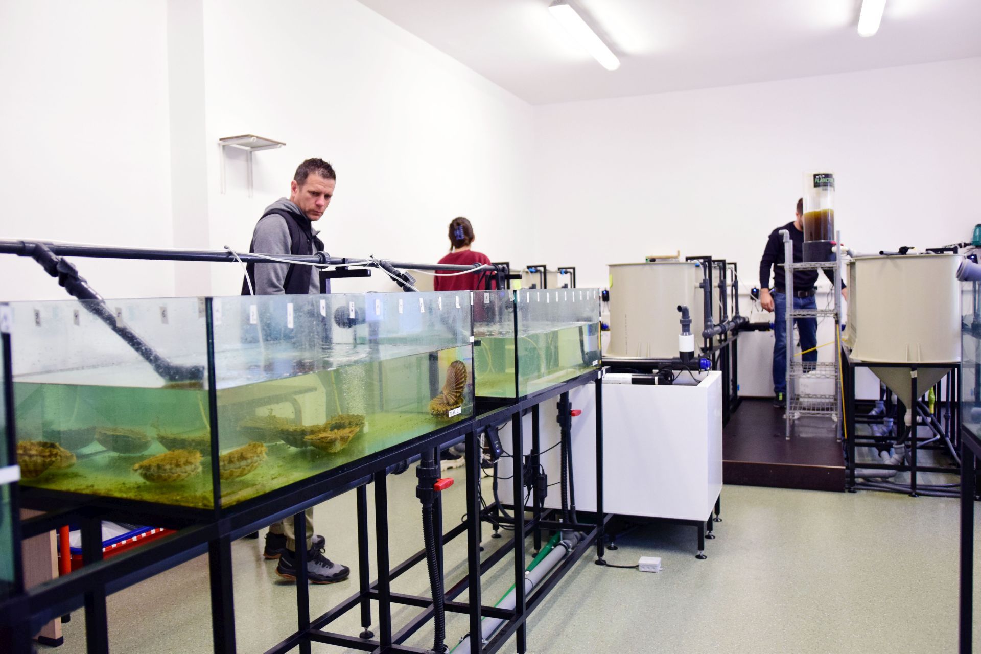 Strani studenti na združenom studiju Biotehnologija mora Strani studenti na združenom studiju Biotehnologija mora