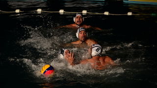 VAK”AN”ZA 31%, finale: Reptili – Nesvrstani 2-4 VAK”AN”ZA 31%, finale: Reptili – Nesvrstani 2-4