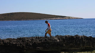 Image 1117661 (auto)