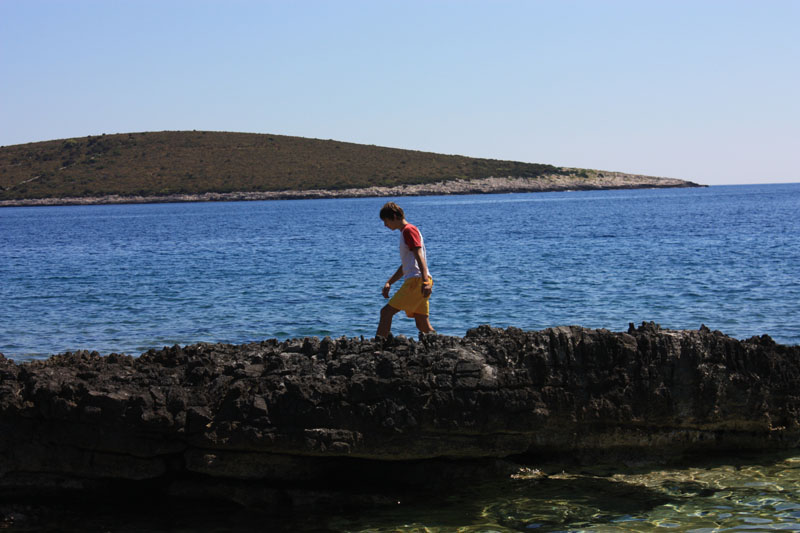 Image 1117661 (auto)