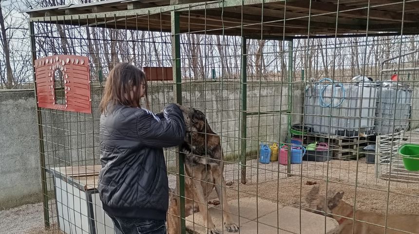 Učenici poljoprivredne škole pomogli Skloništu za životnije u Privlaci Učenici poljoprivredne škole pomogli Skloništu za životnije u Privlaci
