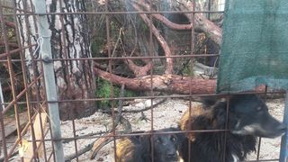 Nevera učinila veliku štetu i zadarskom azilu Nevera učinila veliku štetu i zadarskom azilu