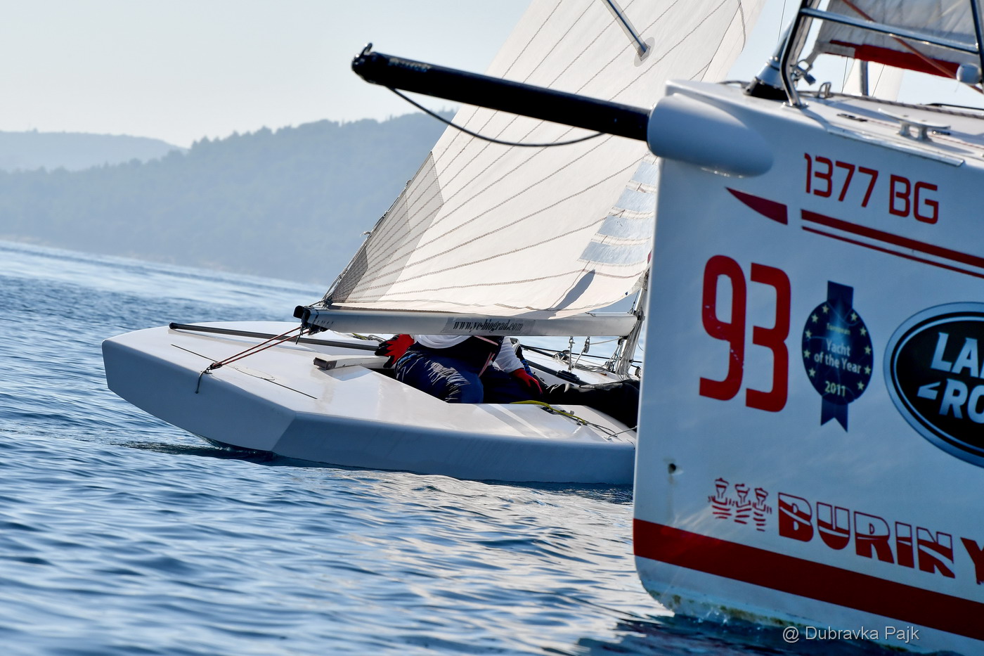 Sva lica “Zadarske koke” Sva lica “Zadarske koke”