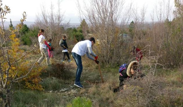 Uspješno provedena velika volonterska akcija pošumljavanja “Volonterska šuma”