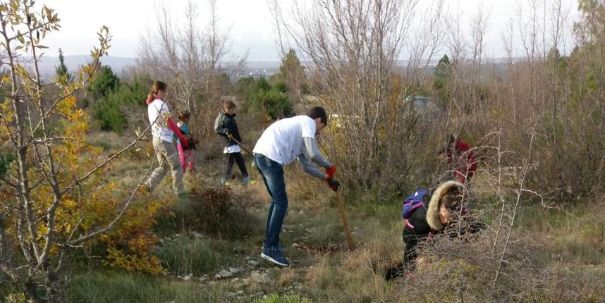 Uspješno provedena velika volonterska akcija pošumljavanja “Volonterska šuma”