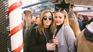 Badnjak u Zadru, 24. prosinca 2017.