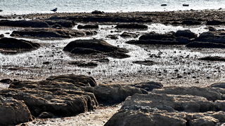 Zimska oseka u Sukošanu