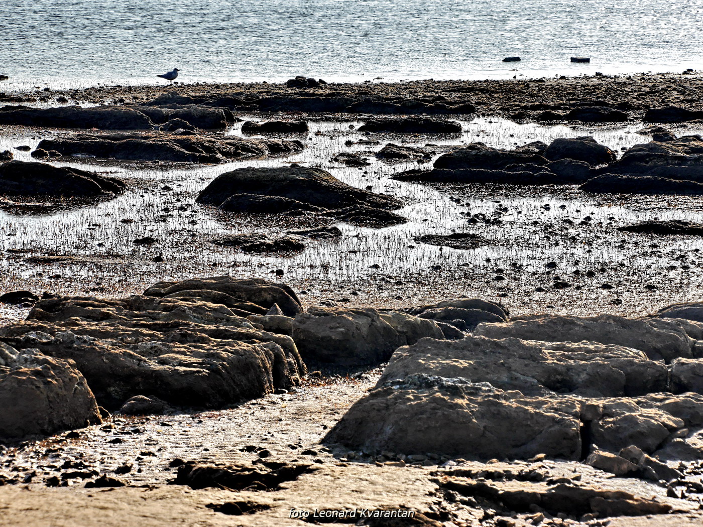 Zimska oseka u Sukošanu
