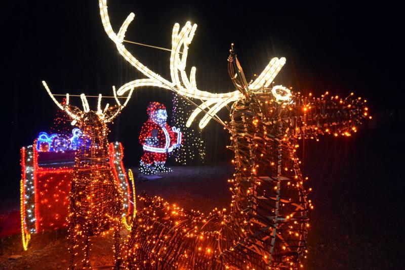 Dva milijuna lampica za božićnu čaroliju na imanju Salaj