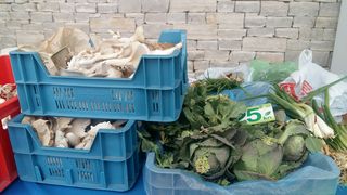 Velika subota na Seljačkoj tržnici u Zadru