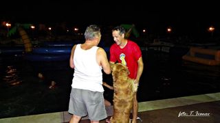 Jadranske igre u Poljani