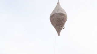 Započelo blagdansko ukrašavanje Poluotoka Započelo blagdansko ukrašavanje Poluotoka