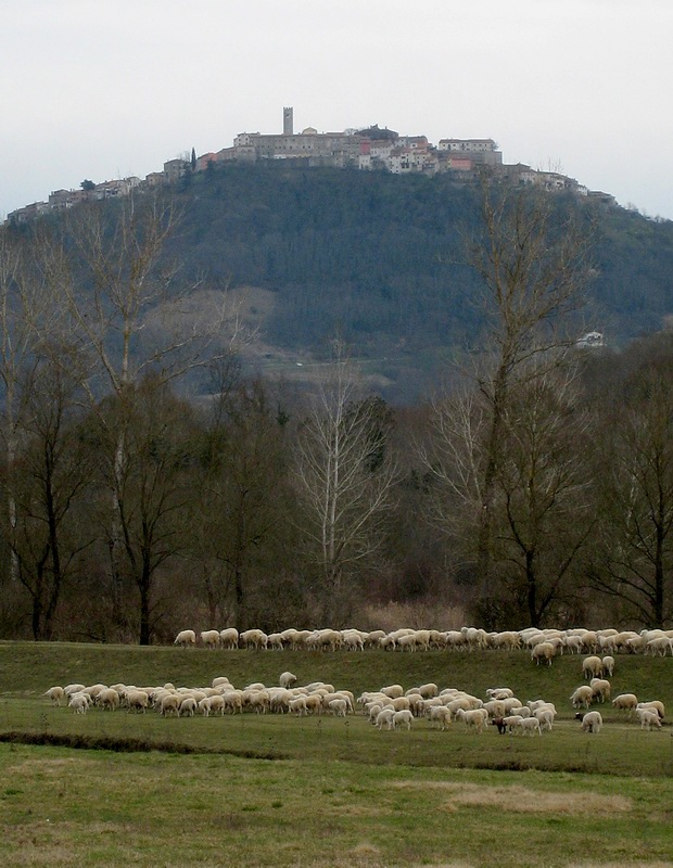 Motovun, Istra