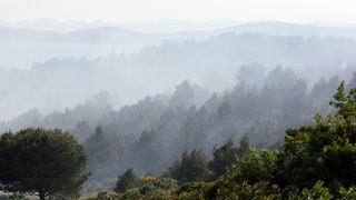 Zadar, 050510.
U popodnevnim satima juzno od zadarskog predjela Dracevac izbio je pozar koji su osim vatrogasaca na zemlji gasili i kanader i airtractor.
Foto : Vladimir Ivanov / CROPIX Zadar, 050510.
U popodnevnim satima juzno od zadarskog predjela Dracevac izbio je pozar koji su osim vatrogasaca na zemlji gasili i kanader i airtractor.
Foto : Vladimir Ivanov / CROPIX