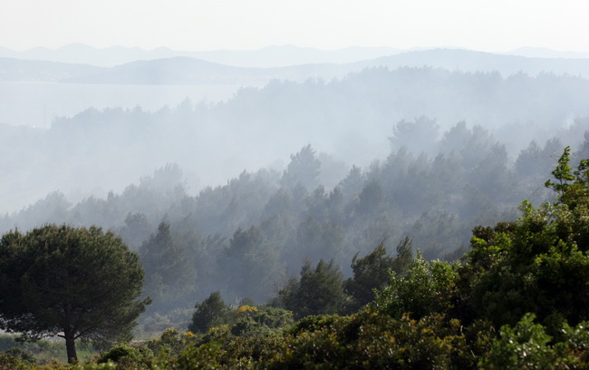 Zadar, 050510.
U popodnevnim satima juzno od zadarskog predjela Dracevac izbio je pozar koji su osim vatrogasaca na zemlji gasili i kanader i airtractor.
Foto : Vladimir Ivanov / CROPIX Zadar, 050510.
U popodnevnim satima juzno od zadarskog predjela Dracevac izbio je pozar koji su osim vatrogasaca na zemlji gasili i kanader i airtractor.
Foto : Vladimir Ivanov / CROPIX