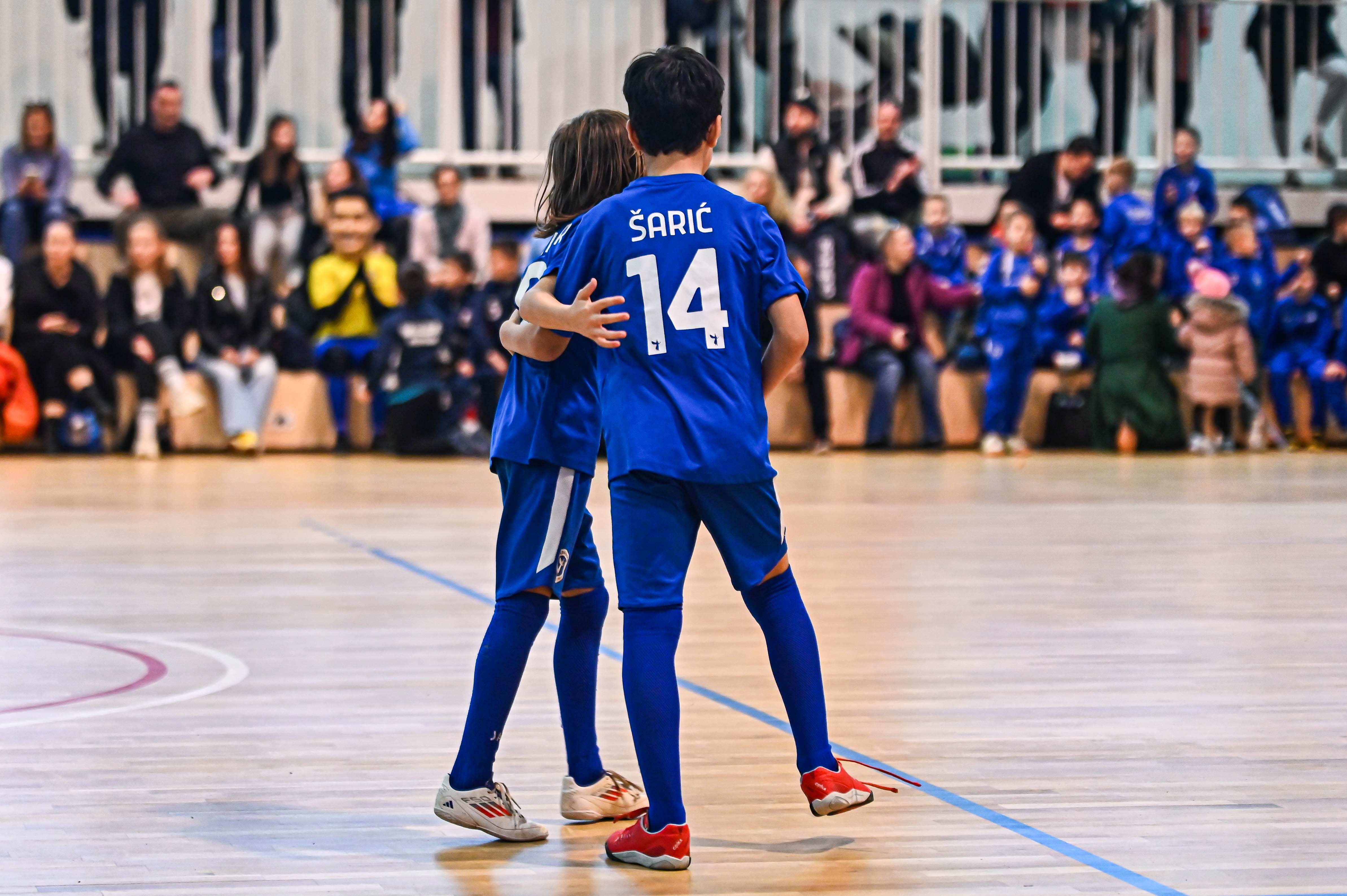 1.Cateleya indoor Cup 1.Cateleya indoor Cup