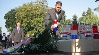 Image 1054199 (auto)